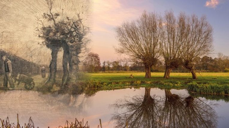 Part of Brabant becomes Van Gogh National Park