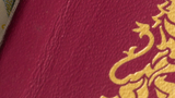 paspoort identiteitsfraude