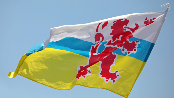 De vlag van Limburg