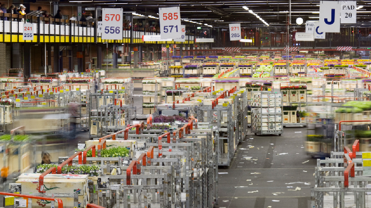 Veiling Aalsmeer