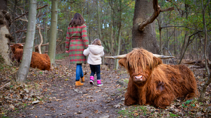 Natuur