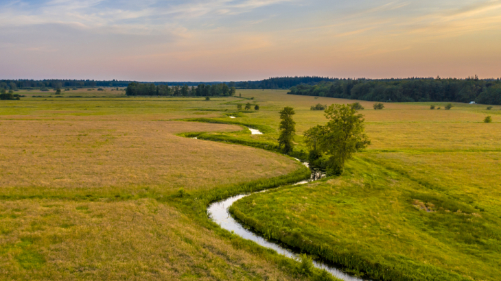 Koningsdiep natuurgebied