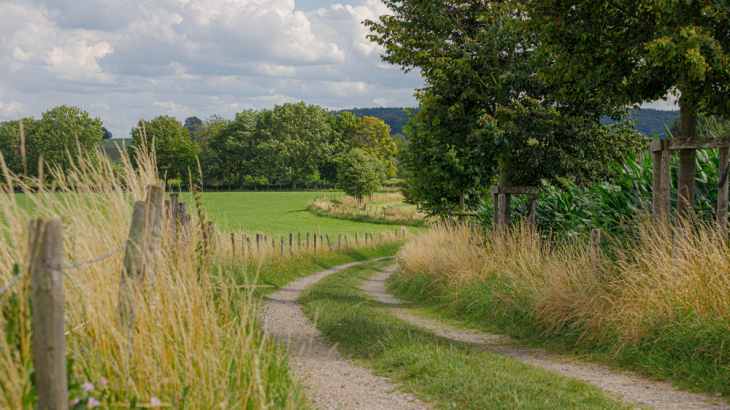 Krimpgebied - leeg platteland