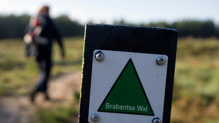 Natuurgebied Brabantse Wal