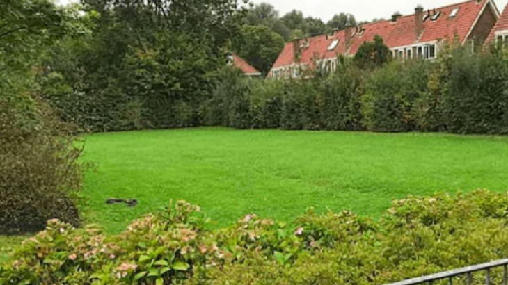 Buurtmoestuin