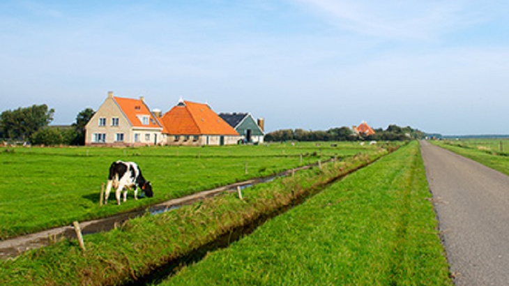 Boerderij