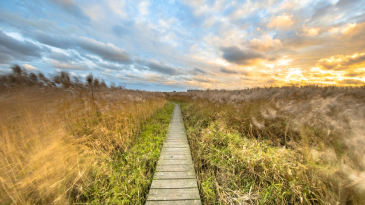 Houten brug in Natura 2000-gebied in de provincie Groningen.