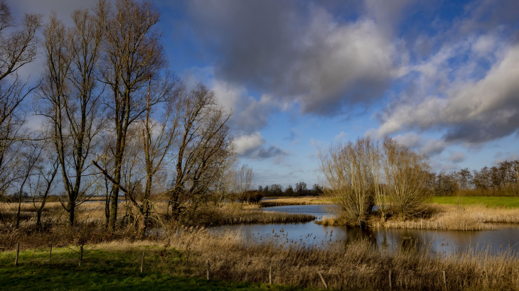 Natura2000-gebied De Noorderkolk ten noorden van Zwolle.