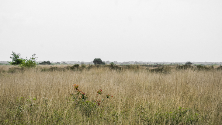 Natuurpark de Groote Peel is één van de Natura 2000-gebieden in Noord-Brabant.