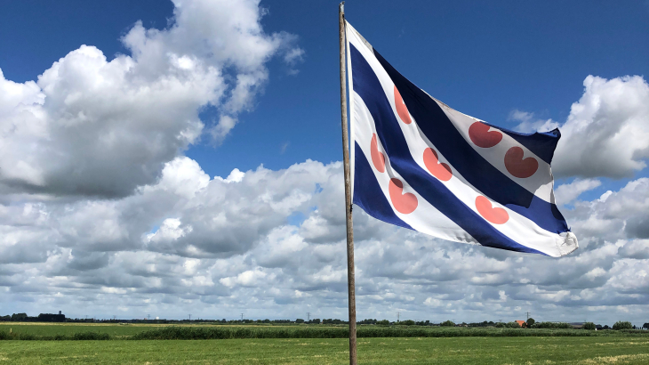 Friese vlag