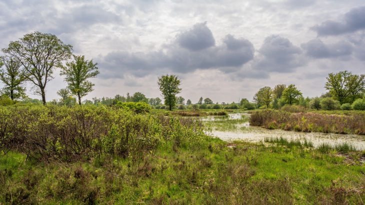Het Gelderse natuurgebied de Empese en Tondense Heide.