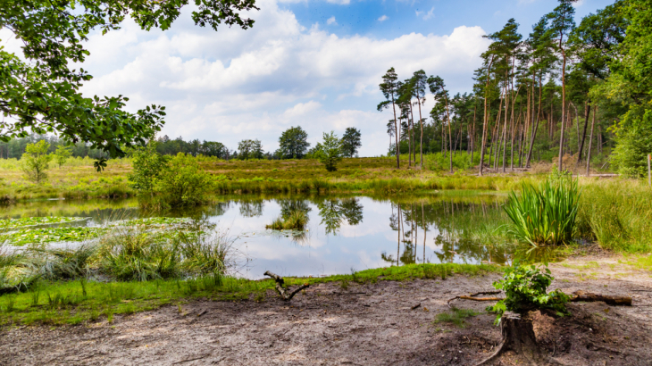 Veluwe