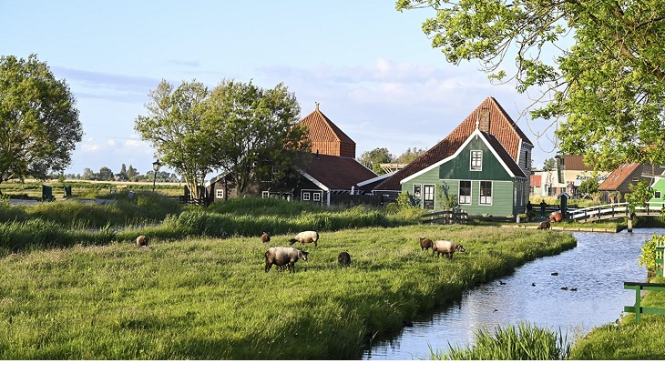 Hekkelman