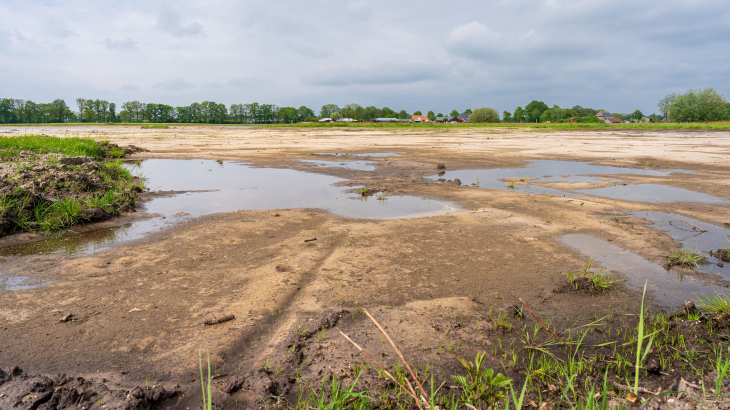 Met oog op natuurherstel werd afgelopen mei geplagd en gegraven in het natuurgebied de Empese en Tondense Heide in de provincie Gelderland.