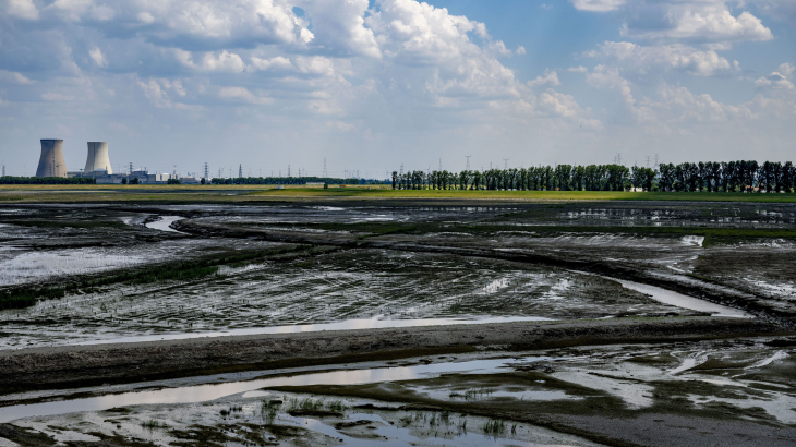 Uitzicht afgelopen juni op de Hedwige-Prosperpolder in Zeeuws-Vlaanderen. Hier moet het natuurpark Groot Saeftinghe ontstaan.