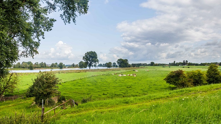 Noord Brabant transitie landelijk gebied