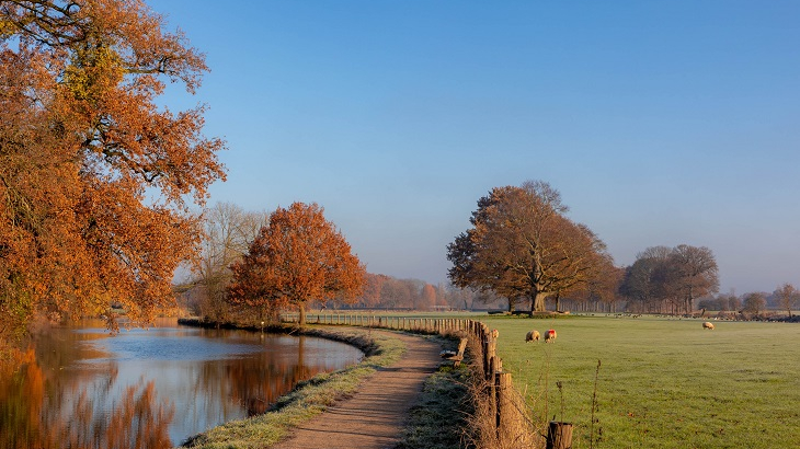 Gemeente Bunnik