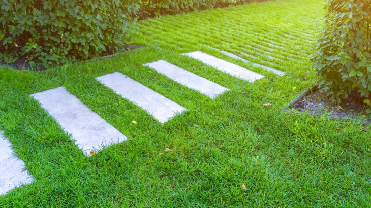 Groen gras en pad