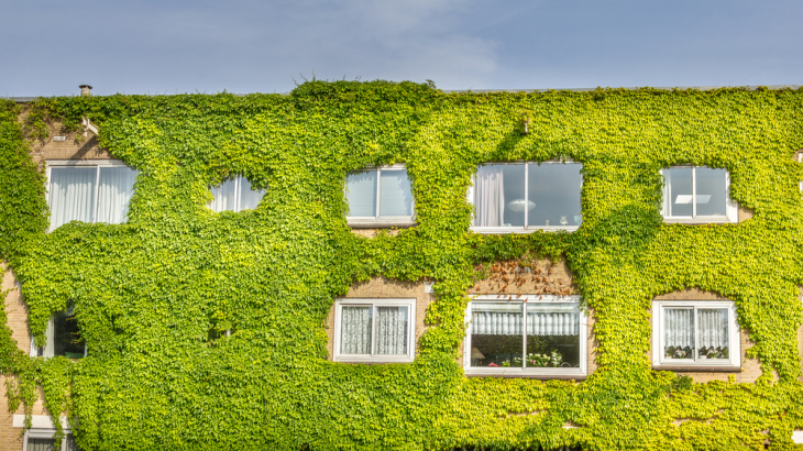 Ecologisch gebouw met de muur vol planten. Bron: Shutterstock