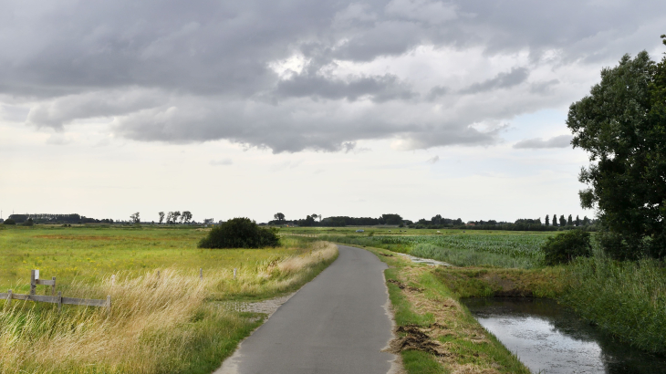 In natuurgebied de Vierde Bergboezem is ruimte voor het overtollige water in Breda.