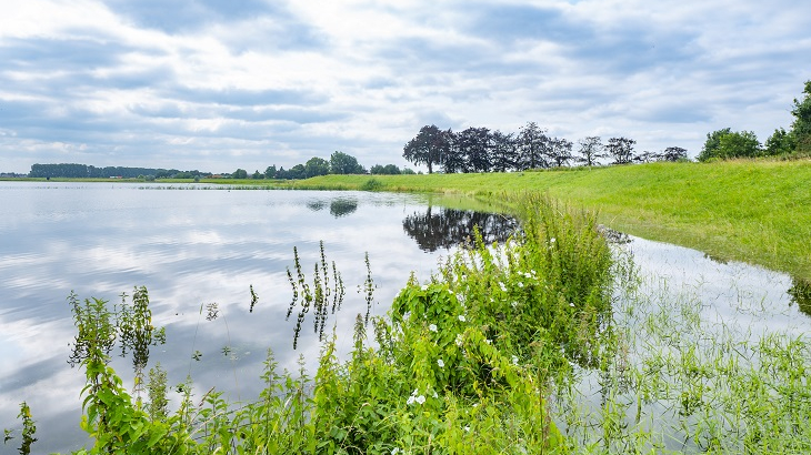 Rivier de ijssel