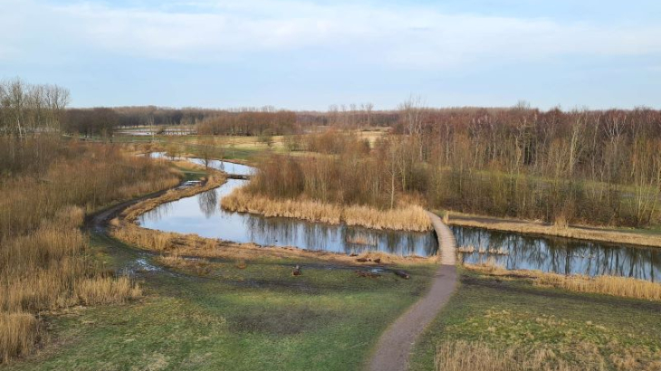 Broekpolder in Vlaardingen