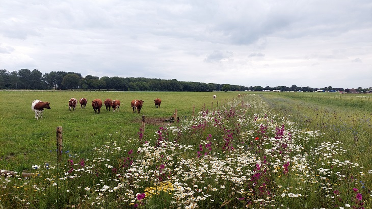 landbouwbedrijf tilburg