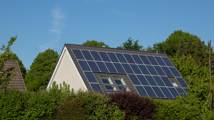 Bomen rondom huis met zonnepanelen