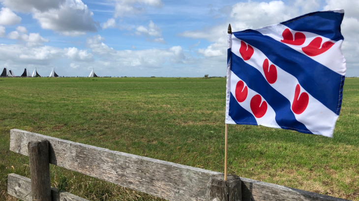 Friese vlag