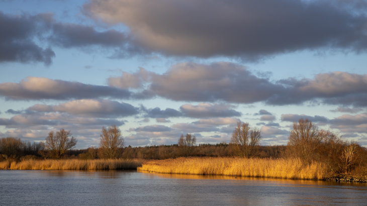 Het Lauwersmeergebied in Groningen begin 2024. Dit Natura2000-gebied is weinig gevoelig voor stikstofdeposities.