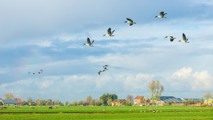 Boerderij op platteland 