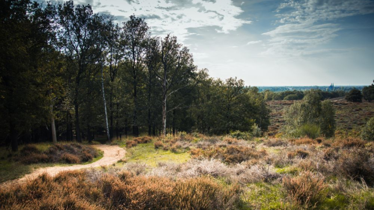 De Mookerheide wordt mogelijk onderdeel van een Nationaal Park.