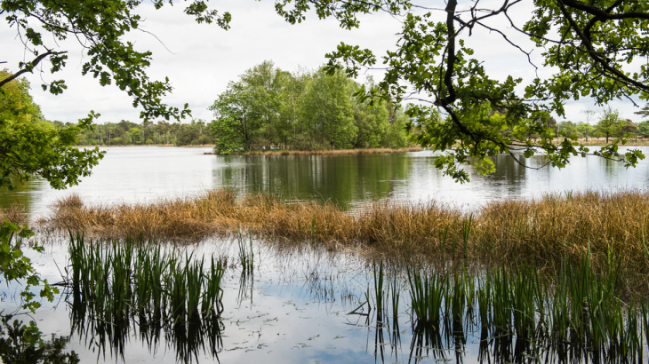 Leersumse Veld, Utrecht,