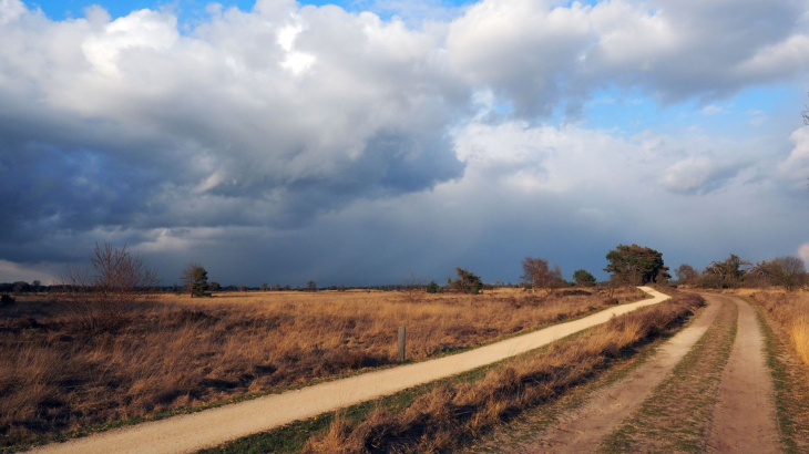 Landschapsfoto van de Stabrechtse Heide bij Heeze