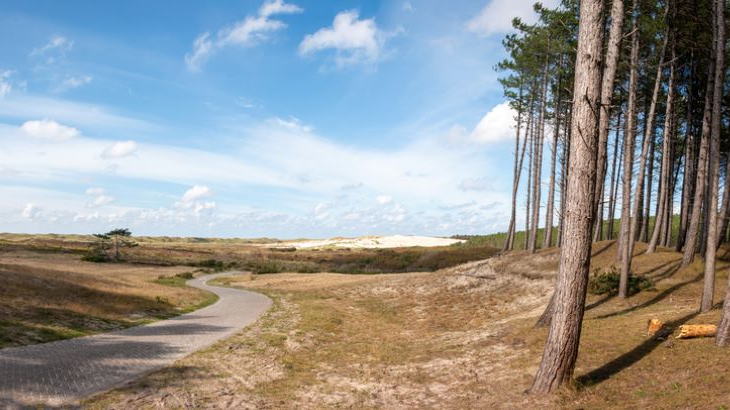 Natuur in Nederland