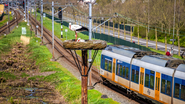 Een nestpaal van ProRail tussen twee sporen bij Alphen aan den Rijn, bedoeld om ooievaars van de bovenleidingen te houden.