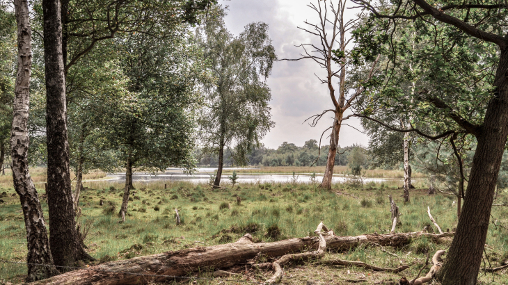 Het Leersumse Veld in de provincie Utrecht.