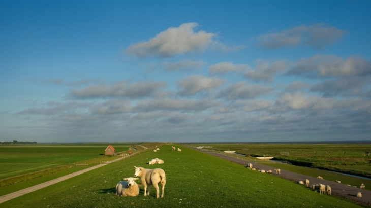 Landelijk gebied Groningen