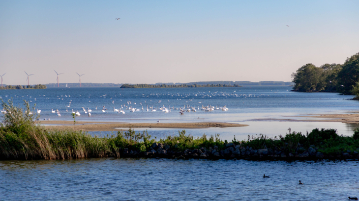 IJsselmeer Shutterstock