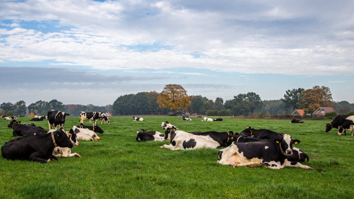 Kabinet trekt portemonnee voor landelijk gebied