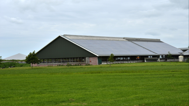 Een Overijsselse melkveehouderij met zonnepanelen op het dak.