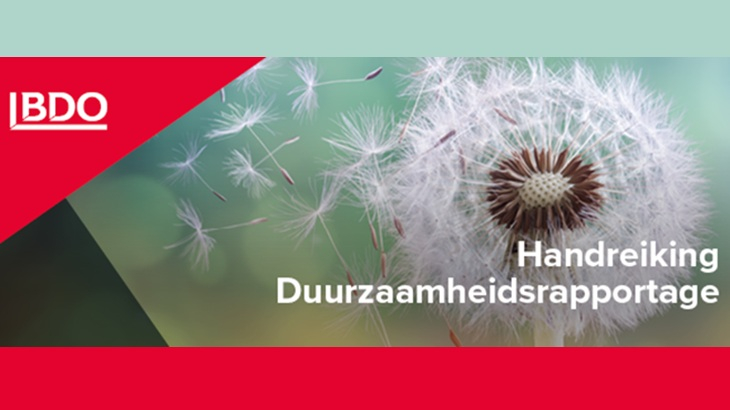 BDO Handreiking duurzaamheidsrapportage