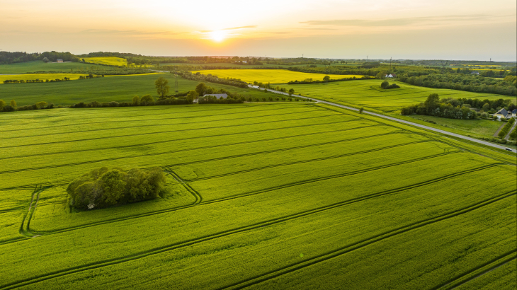 Boerenlanden in Zuid-Denemarken, in mei vorig jaar.