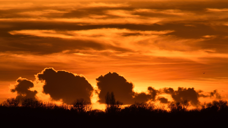 Een zonsondergang afgelopen november in een natuurgebied bij Terheijden, in Noord-Brabant.