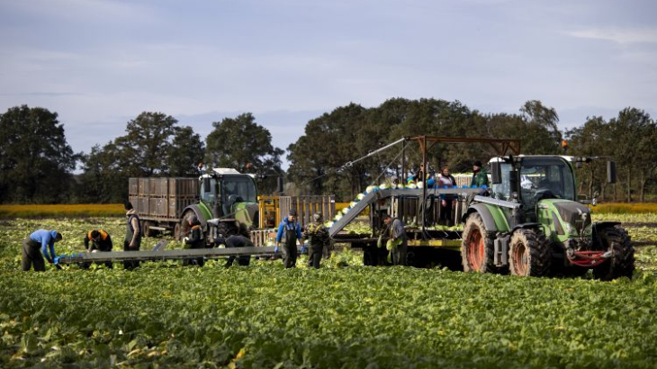 Arbeidsmigranten aan het werk in Horst