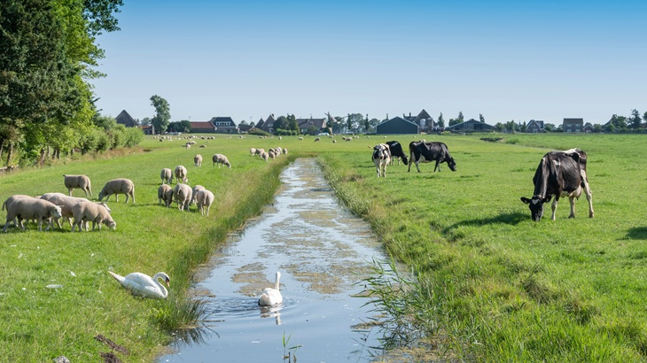 regionaal nederland