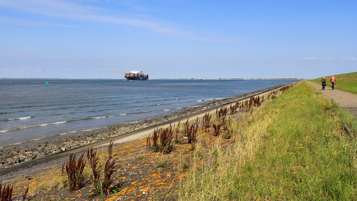 containerschip westerschelde