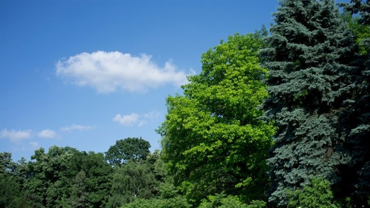 gezonde natuur