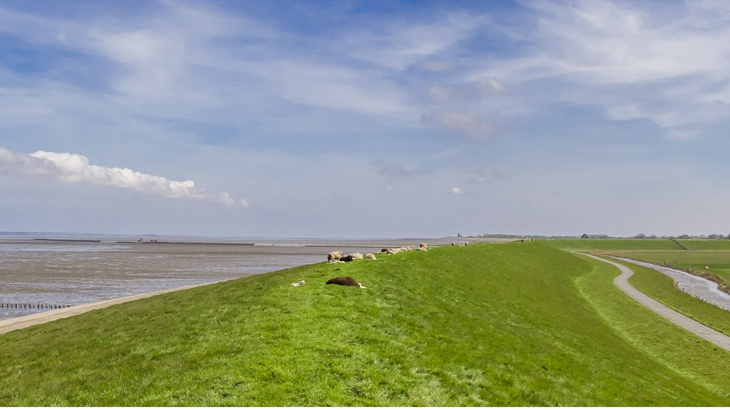 waddendijk