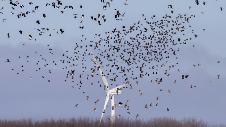 Een windturbine bij het Gelderse natuurgebied Arkemheen.